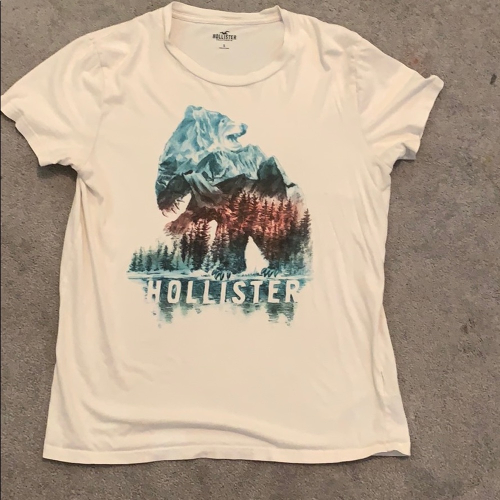 Hollister bear forest shirt short sleeve